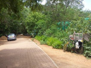 A bicycle with Mikey's pannier is leaned against a sign that reads "Auroville Bamboo Centre." Next to it is a hexagonal brick road. Along the road is lush, green, and full of trees.
