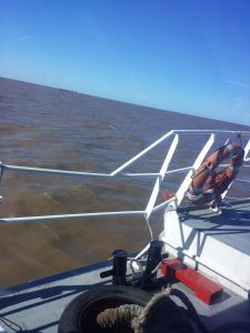 the picture shows the side of a boat. Hanging on the white railing is a round lifebuoy. Beyond the railing is the water, which is dark brown and stretches far to the horizon. Far away, another boat can be seen in the distance.