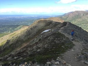 Mikey walks a trail along a ridgeline on an mountain in Alaska on McHugh Peak