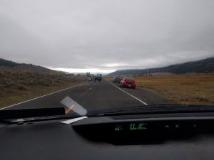 Mikey's car is stopped because a huge buffalo is standing in the middle of a 2-lane road. Other cars are parked in the shoulder, and one man is taking a picture.