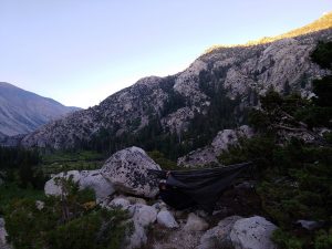 Hammock Trial