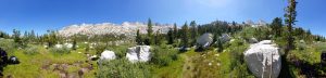 Mikey is sitting in the shade in a huge green meadow in the high-sierras. A rocky mountain can be seen in the distance.