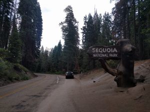 Mikey's car is pulled off in the shoulder near a sign that reads "SEQUOIA NATIONAL PARK." All around the road are very, very tall trees.