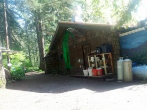 A ceder-sided building sits in the middle of a dense forest. The side of the building is painted with a picture from the Giving Tree--a tree drops an apple to a boy.