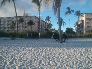 Mikey's Brompton leans against a palm tree on a sandy beach. In the background are multi-story apartment complexes.