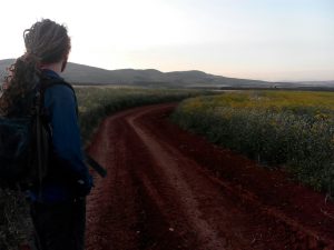 Mikey stands in a dirt road looking away from the camera towards the sun setting behind the mountains.